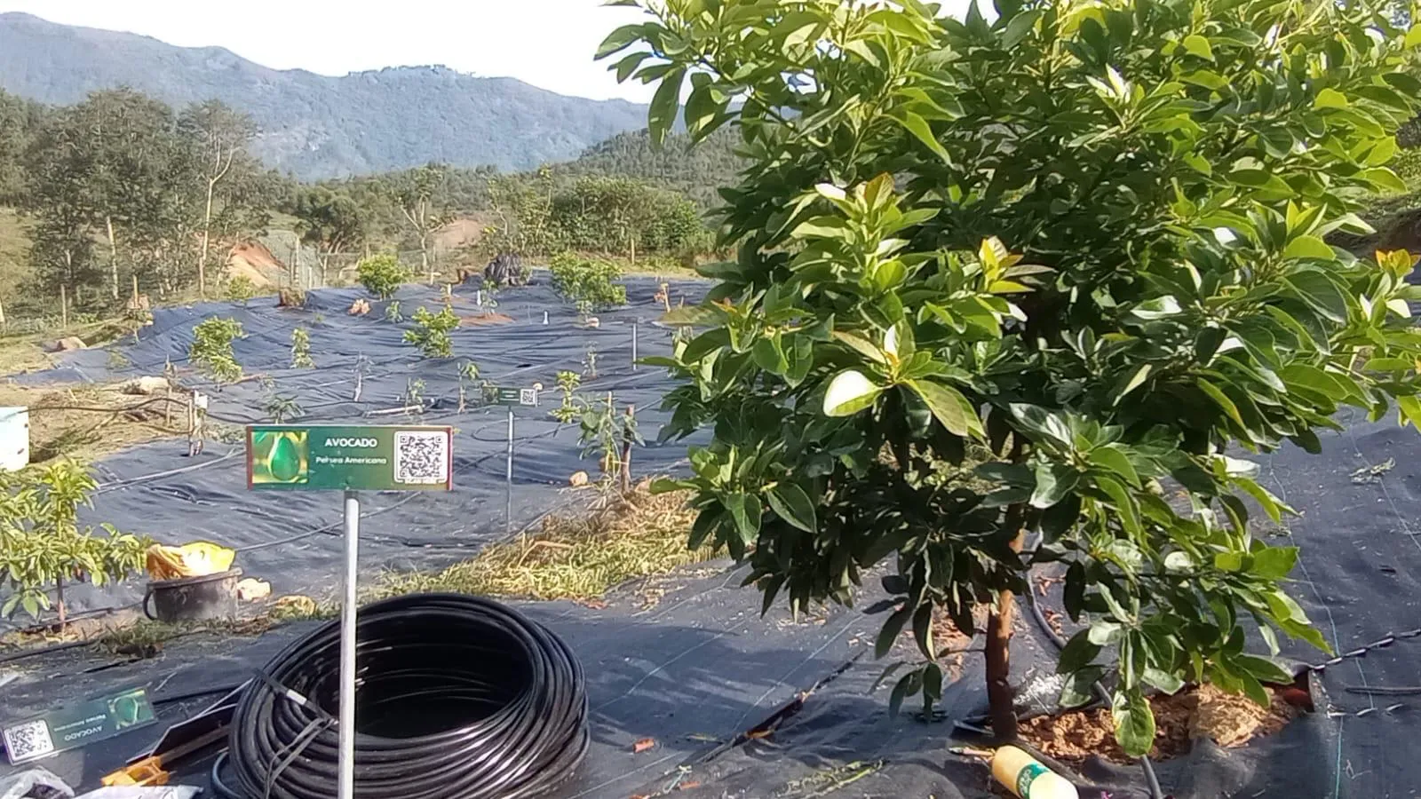 Mountain trails and nature walks