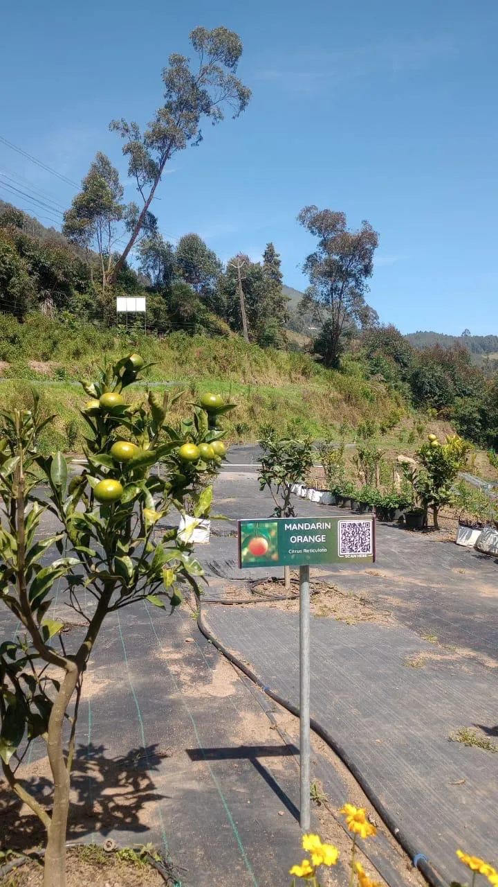 Resort farmhouse surrounded by lush gardens