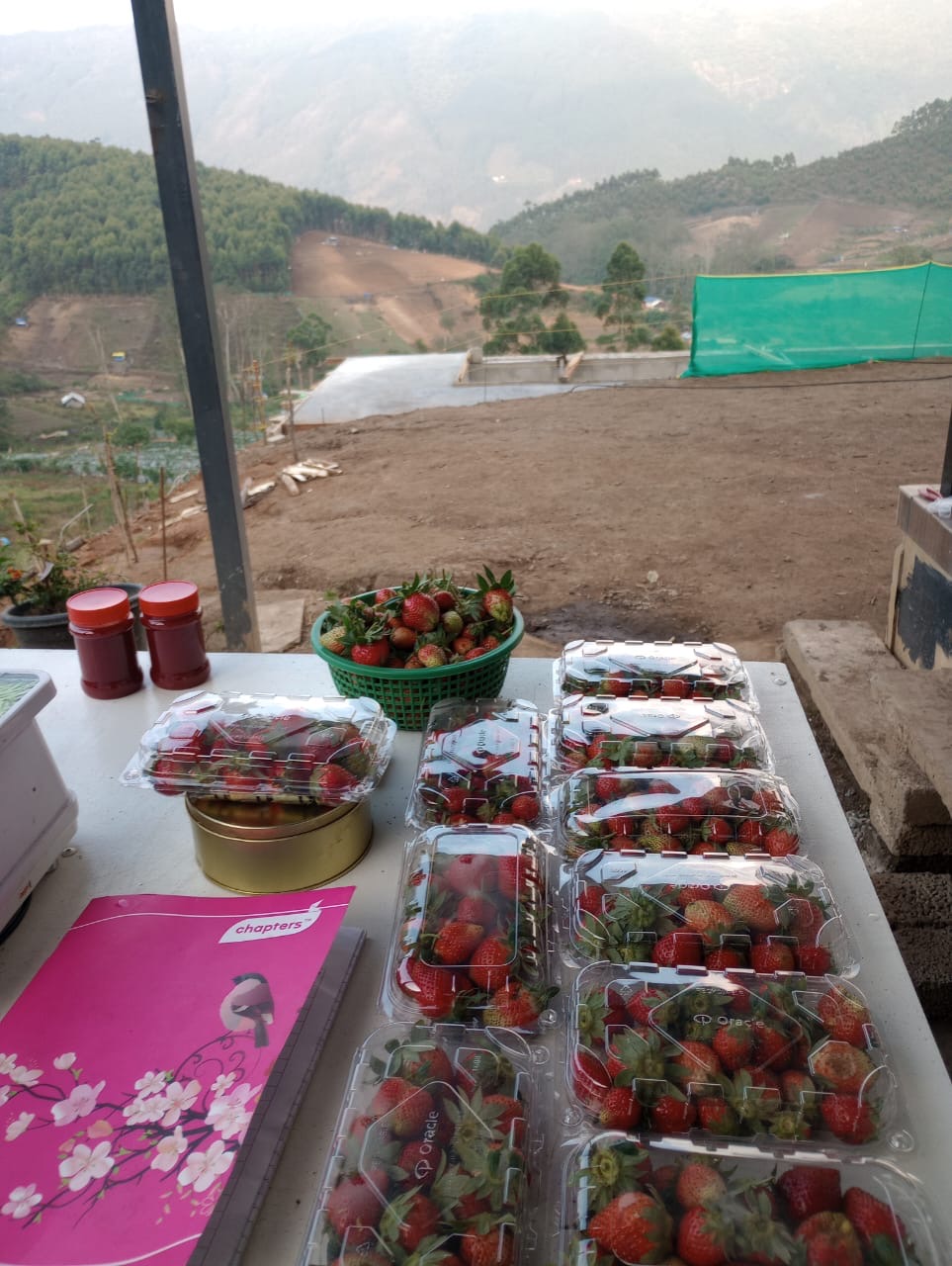 Yoga and wellness activities